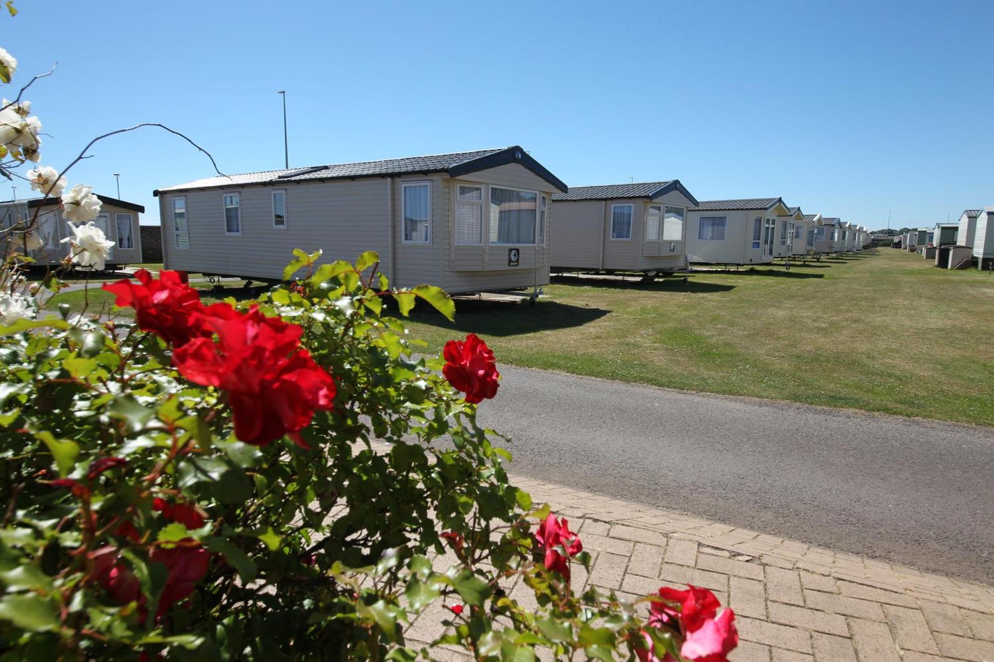 Red Lion Holiday Park Arbroath Ngoại thất bức ảnh